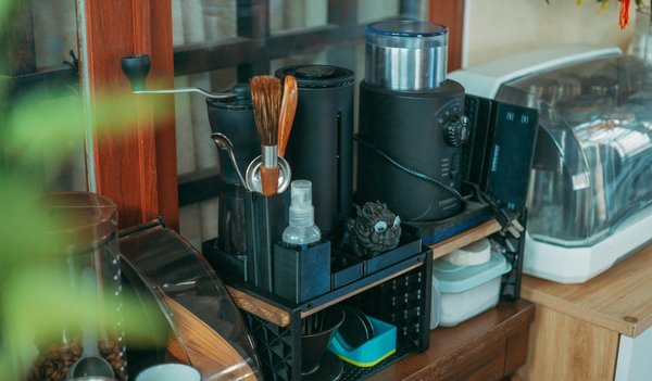 Construire sa maison en bambou : une option écologique et moderne